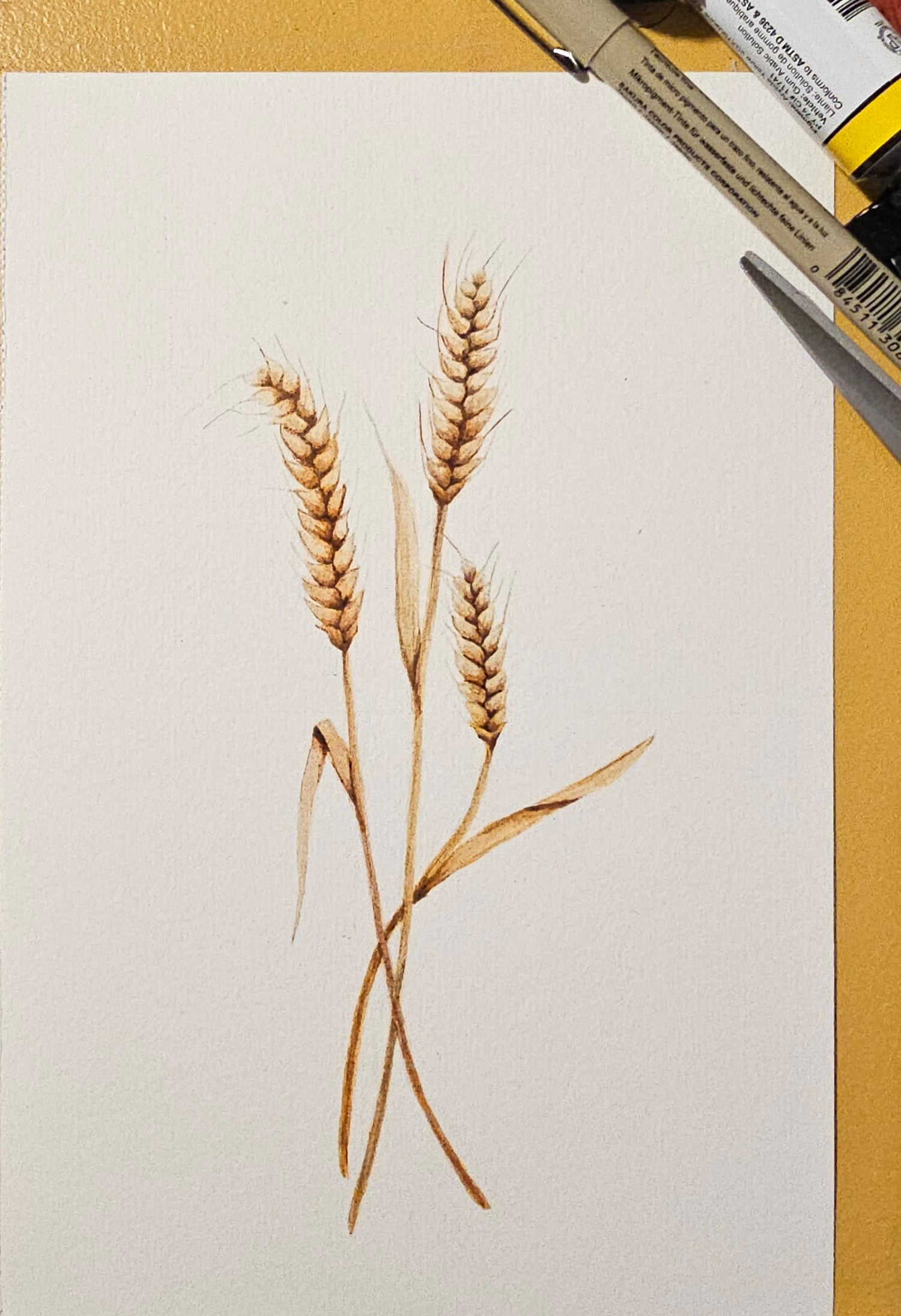 Watercolor of dried wheat stalks on a white sheet of paper with a pen, paint and other art supplies in the background