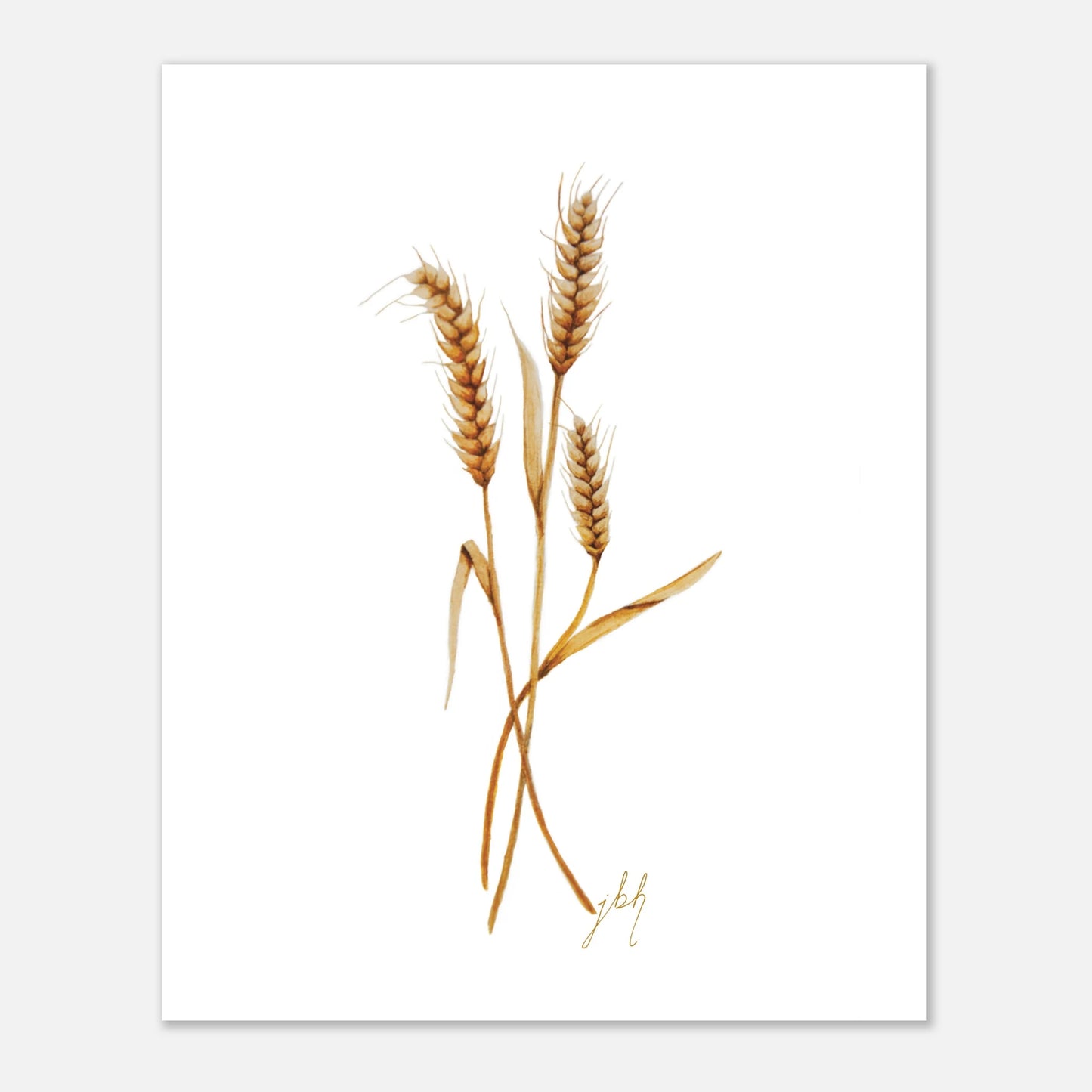 5fc4c64d-9433-44e6-81d4-17571a276763