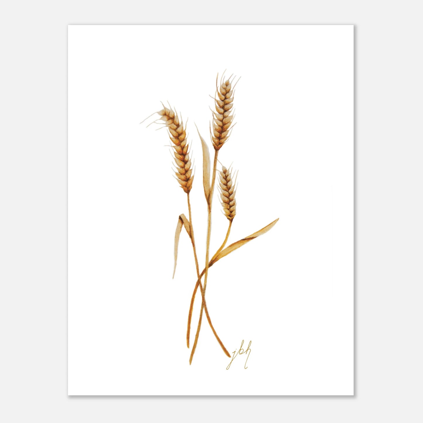 81a6d7bb-bd8c-4a76-b949-696a266dfb00