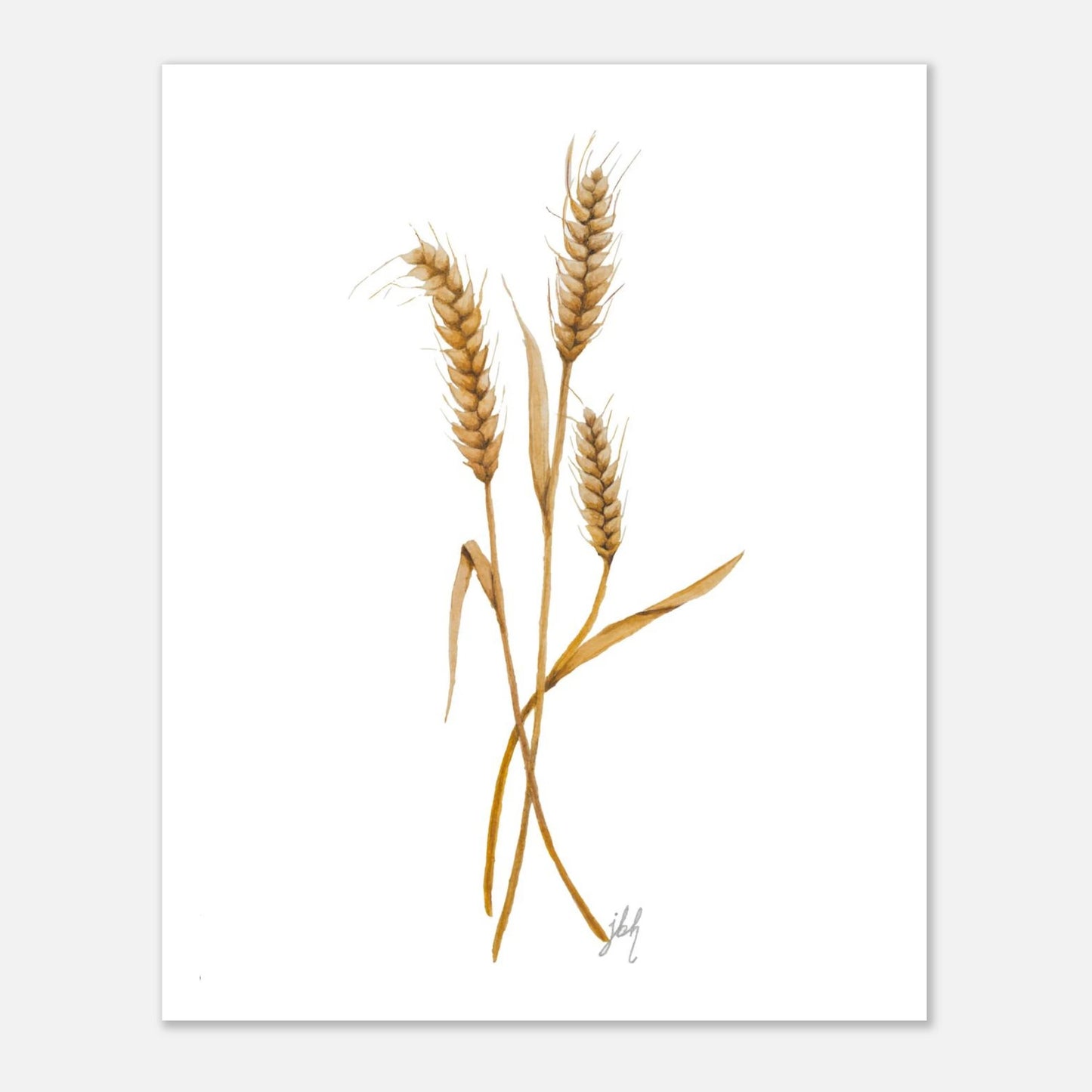 a0c7234a-b373-4e97-89ed-dde28f36fddc