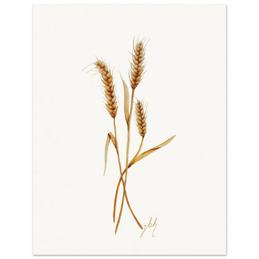 bf8034a5-b697-49db-9c14-29dcbeefd264