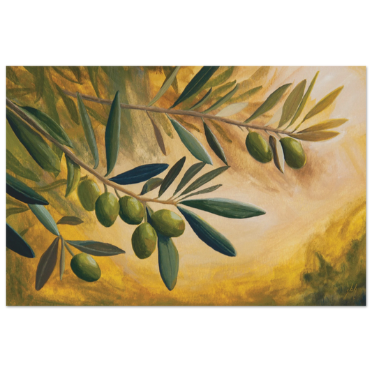 c48b882f-a98f-4ffa-9bbf-2b6b8ba21096