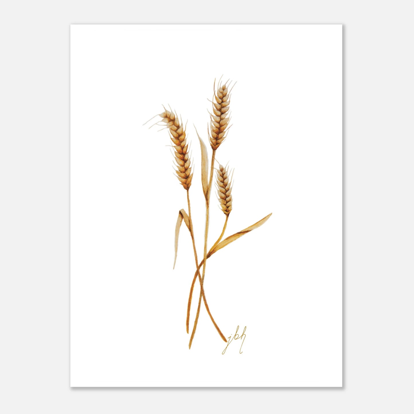 Watercolor painting of three stocks of wheat